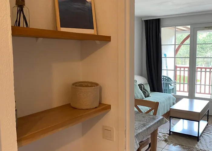 Lac-golf Lejlighed Biscarrosse